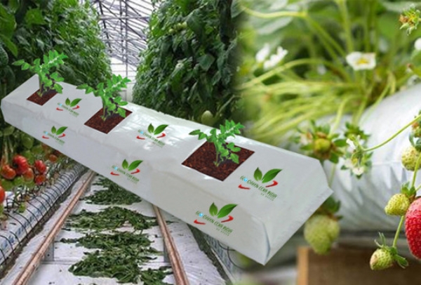 Túi trồng xơ dừa - Công Ty Cổ phần SCG Việt Nam